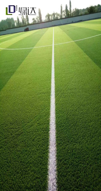 河南質(zhì)量工程職業(yè)學(xué)院十一人制人造草坪足球場(chǎng)